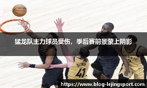 猛龙队主力球员受伤，季后赛前景蒙上阴影